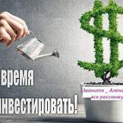 Петров К., Перельман Е. Куда вложить деньги - купить по низкой цене на Яндекс.Ма