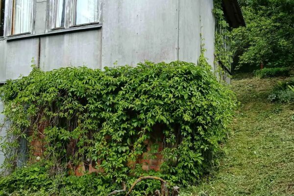 Продажа домов, коттеджей – Бриллиант, Молодечненское направление