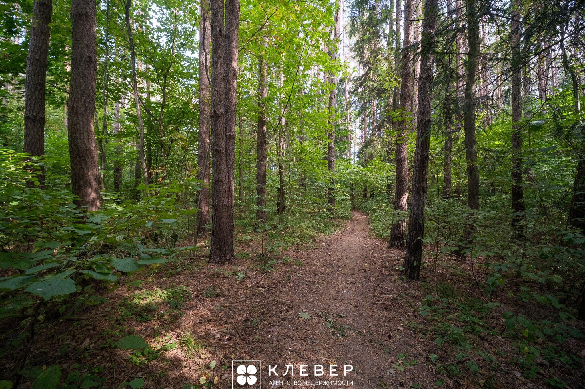  77.9м.кв., комнат 3