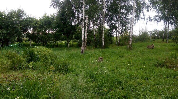  35.6м.кв. (участок 7.64сот.), д. Домашаны (Центральная ул.)