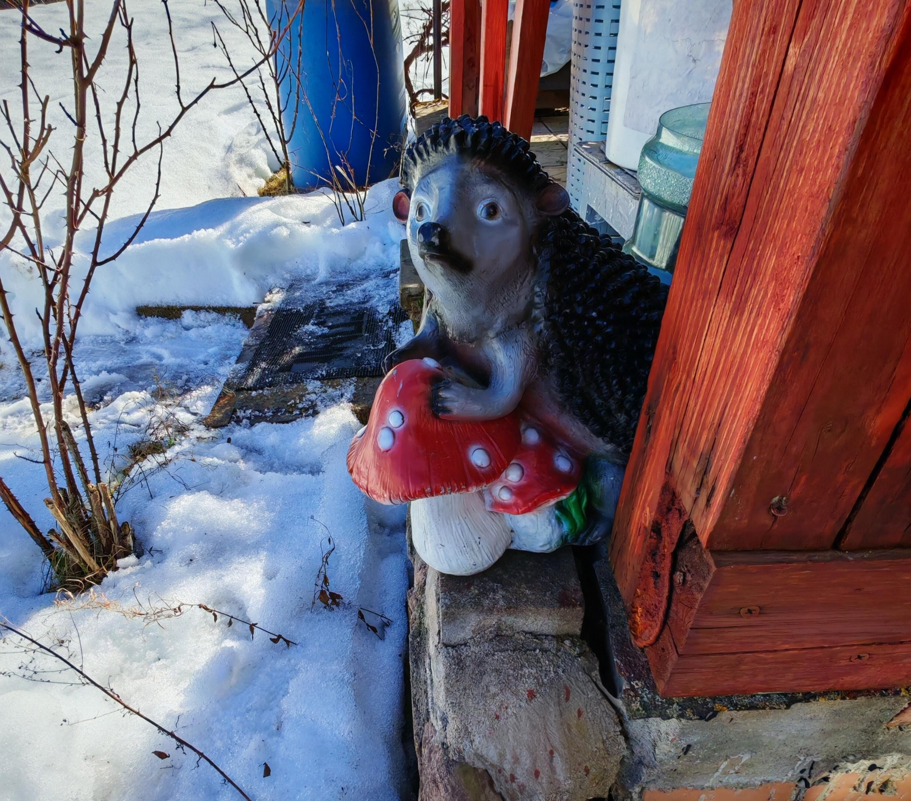 House 56 m² Bialarucki sielski Saviet, Belarus