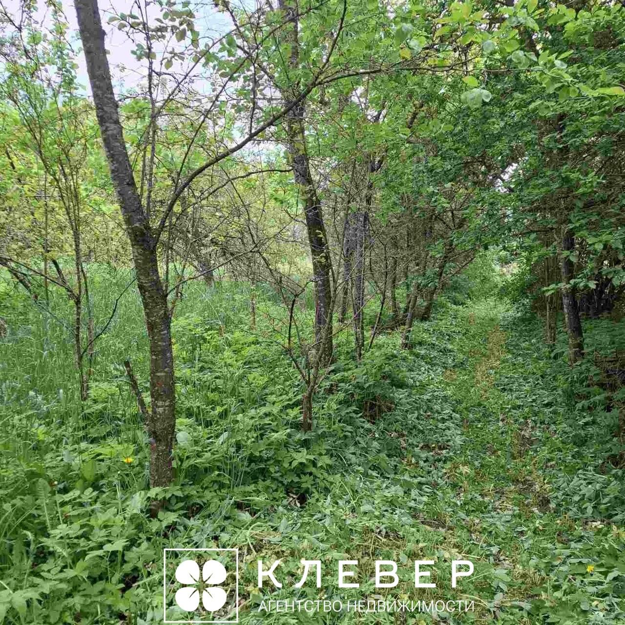  25сот., аг. Дещенка (Центральная ул., 17)