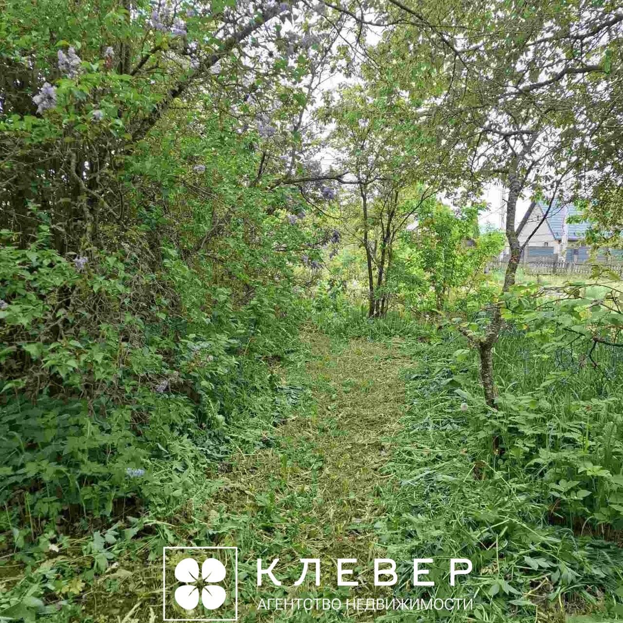  25сот., аг. Дещенка (Центральная ул., 17)