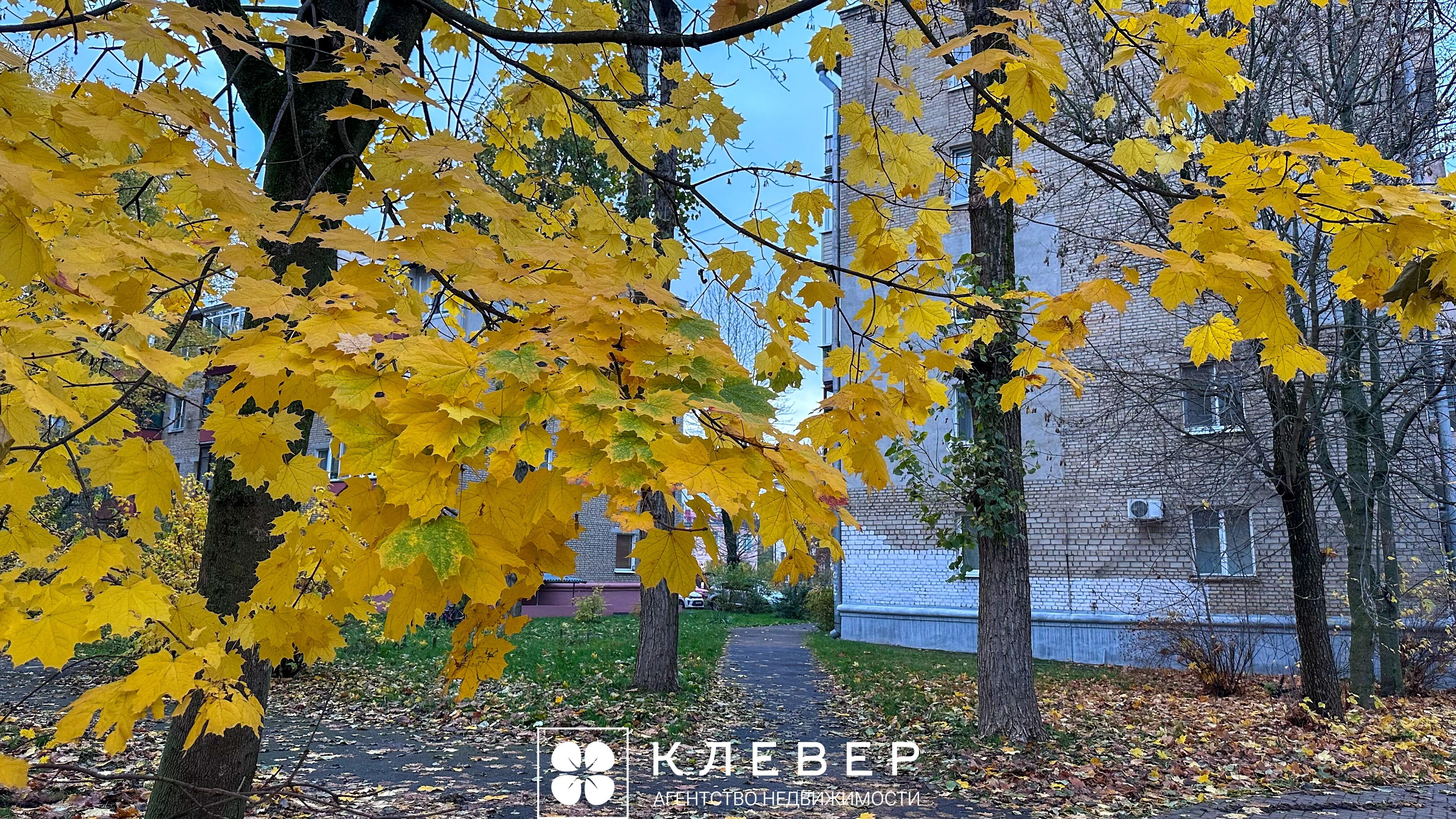  40.63м.кв., комнат 2, г. Минск (Шевченко бульвар, 5)