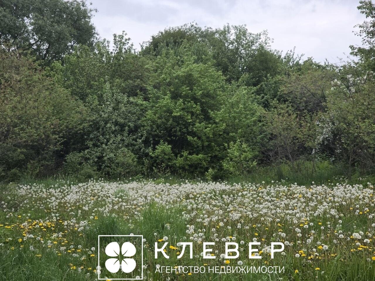  25сот., аг. Дещенка (Центральная ул., 17)