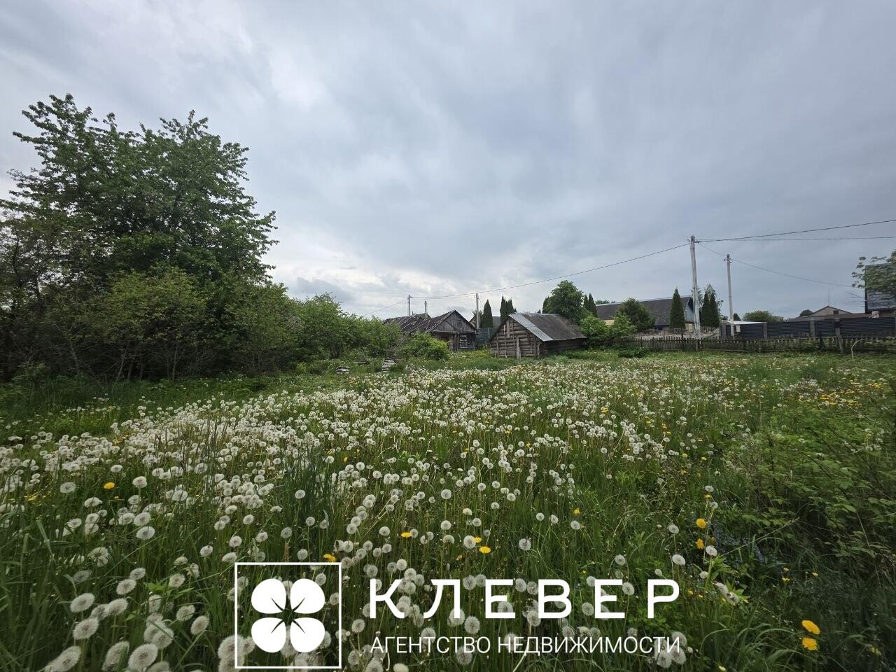  25сот., аг. Дещенка (Центральная ул., 17)