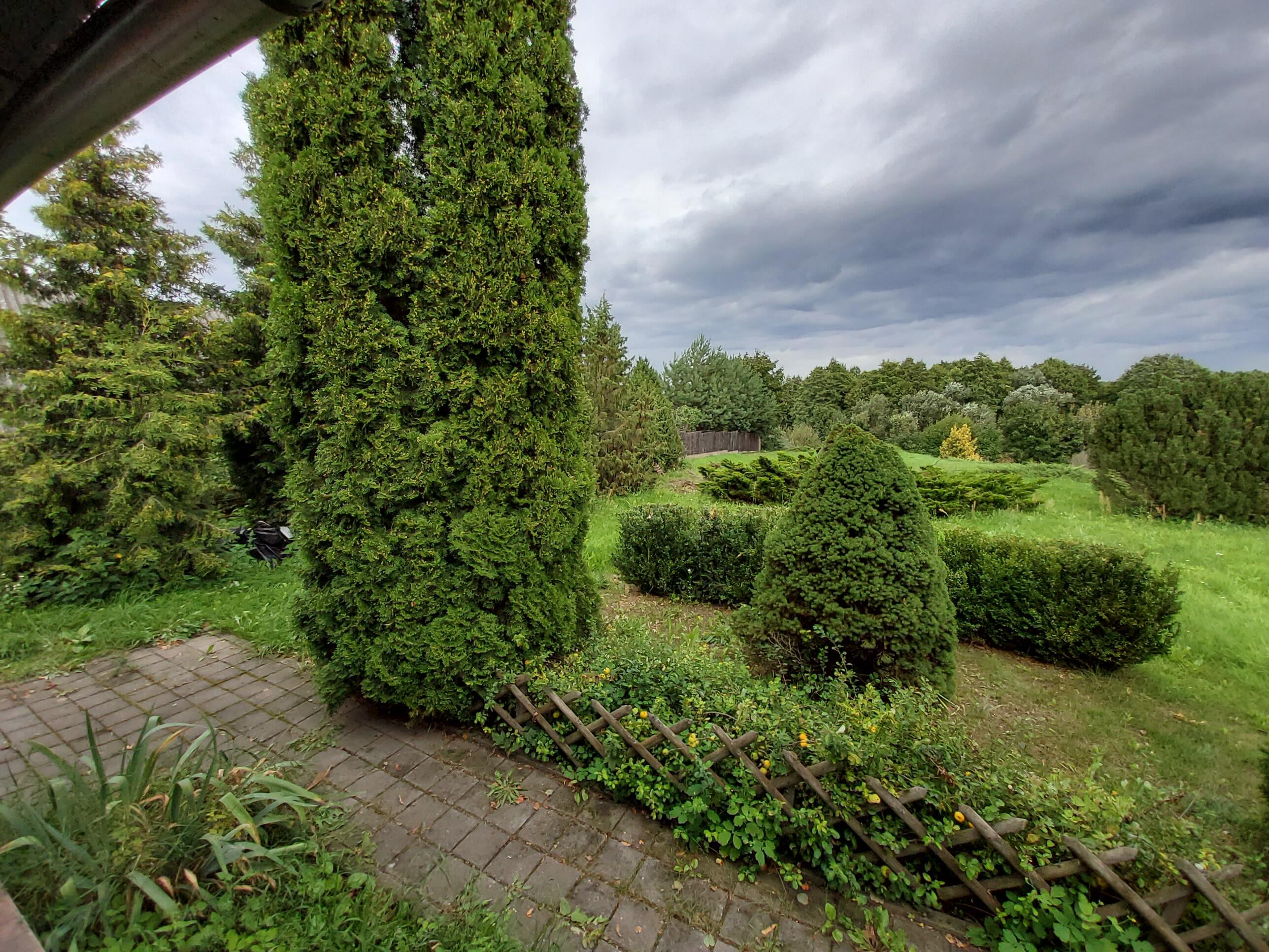 Maison 31 m² Visnieuski sielski Saviet, Bélarus