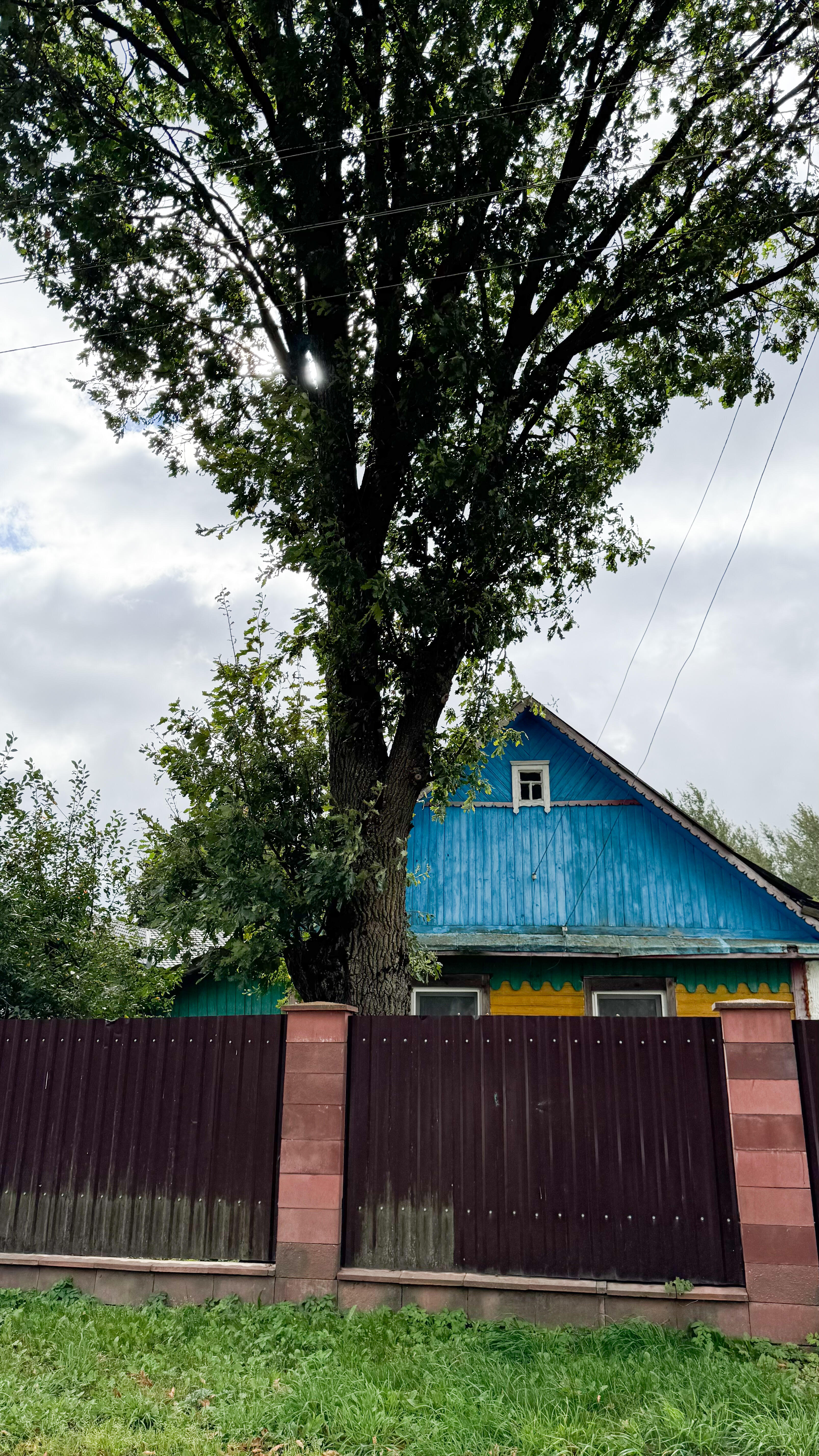 Продается участок в д. Миколаевичи, Смолевичский р-н