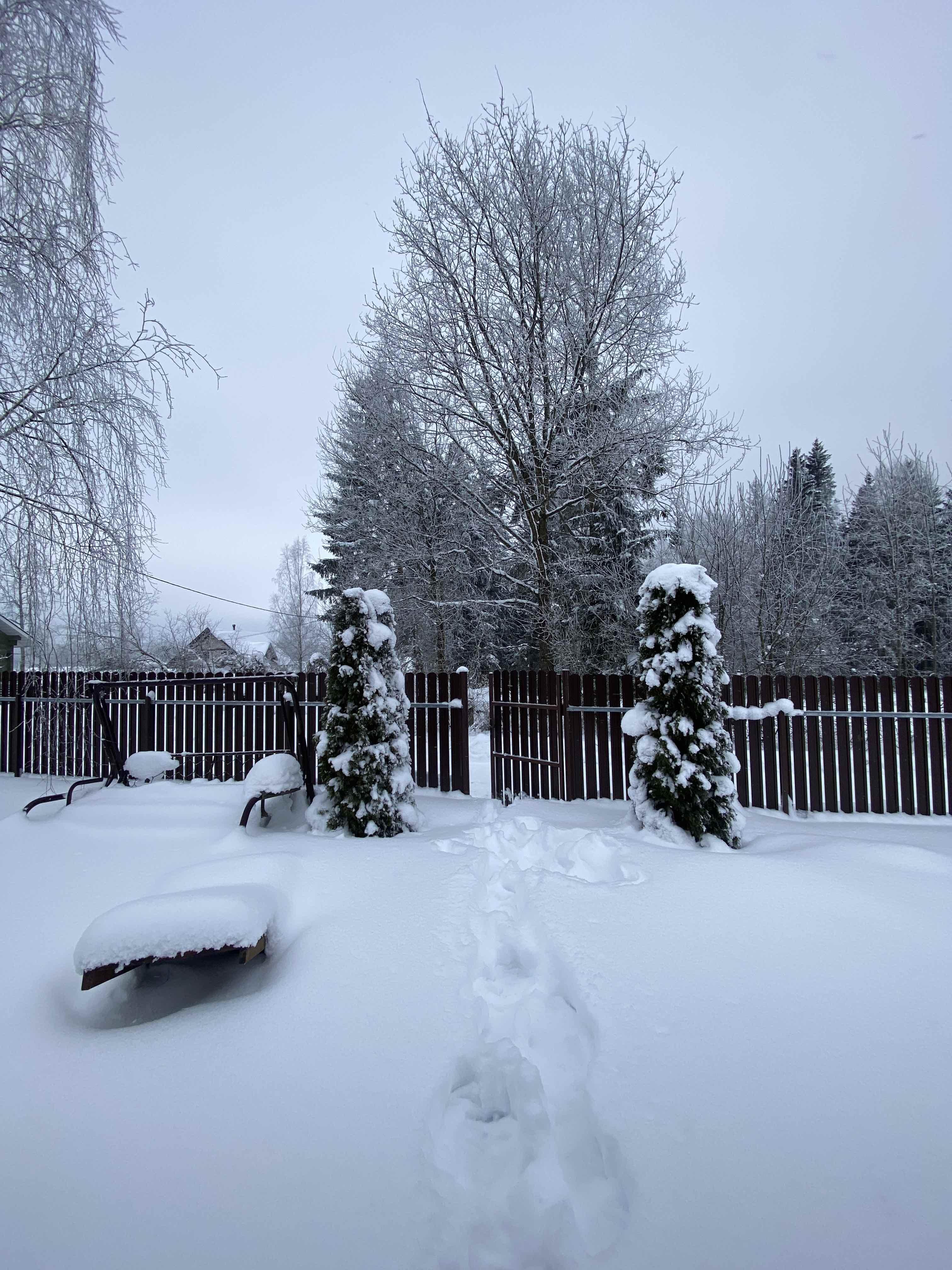Haus 66 m² Lasanski sielski Saviet, Belarus