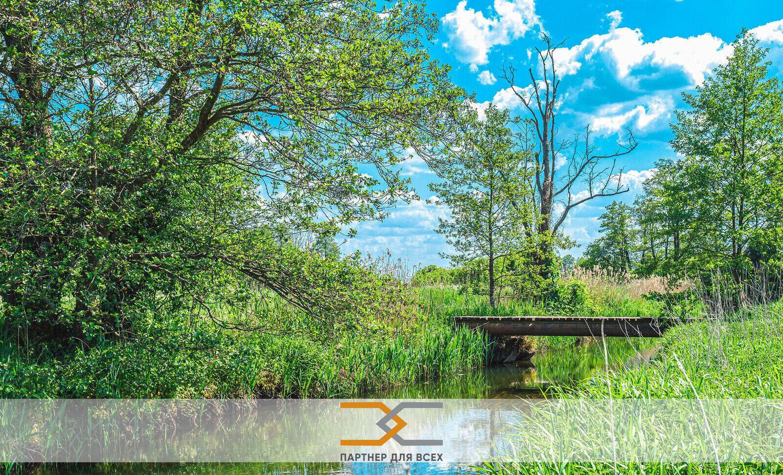 Restaurant 158 m² in Navapolski sielski Saviet, Belarus