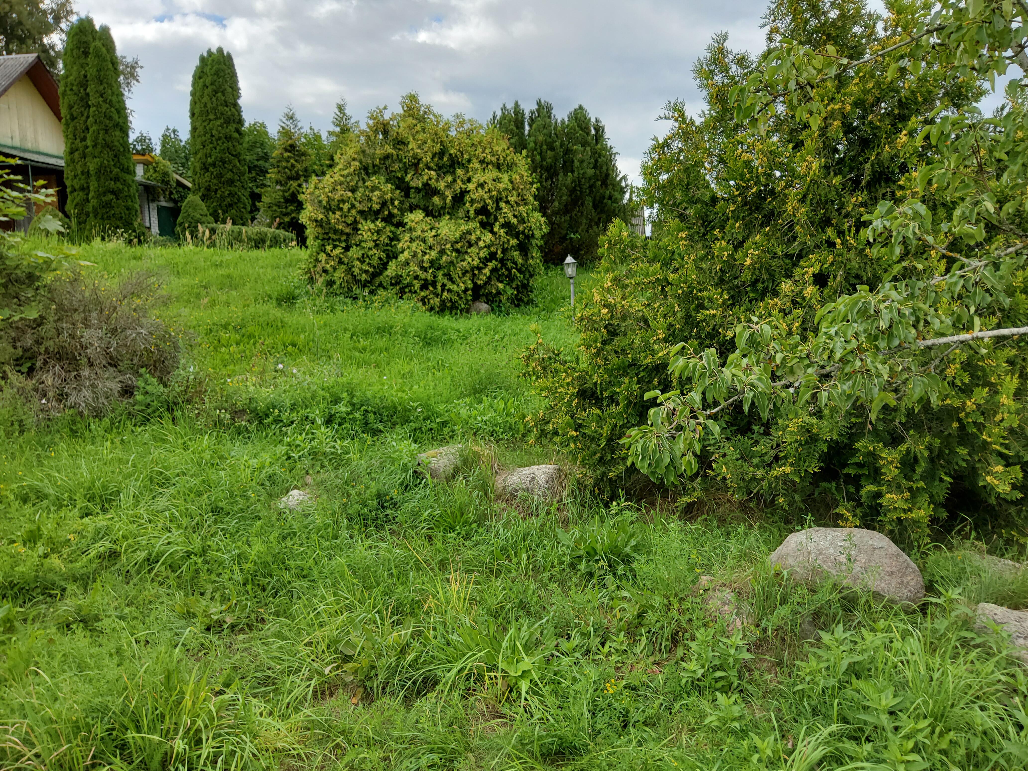 Maison 31 m² Visnieuski sielski Saviet, Bélarus