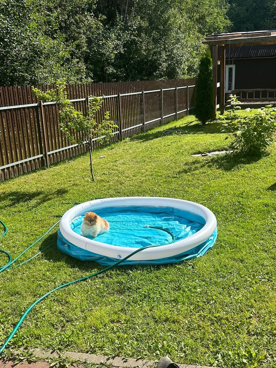 Haus 66 m² Lasanski sielski Saviet, Belarus