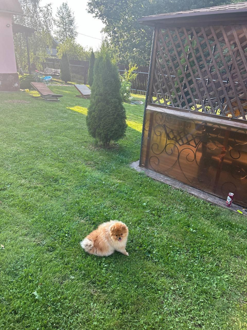 Haus 66 m² Lasanski sielski Saviet, Belarus