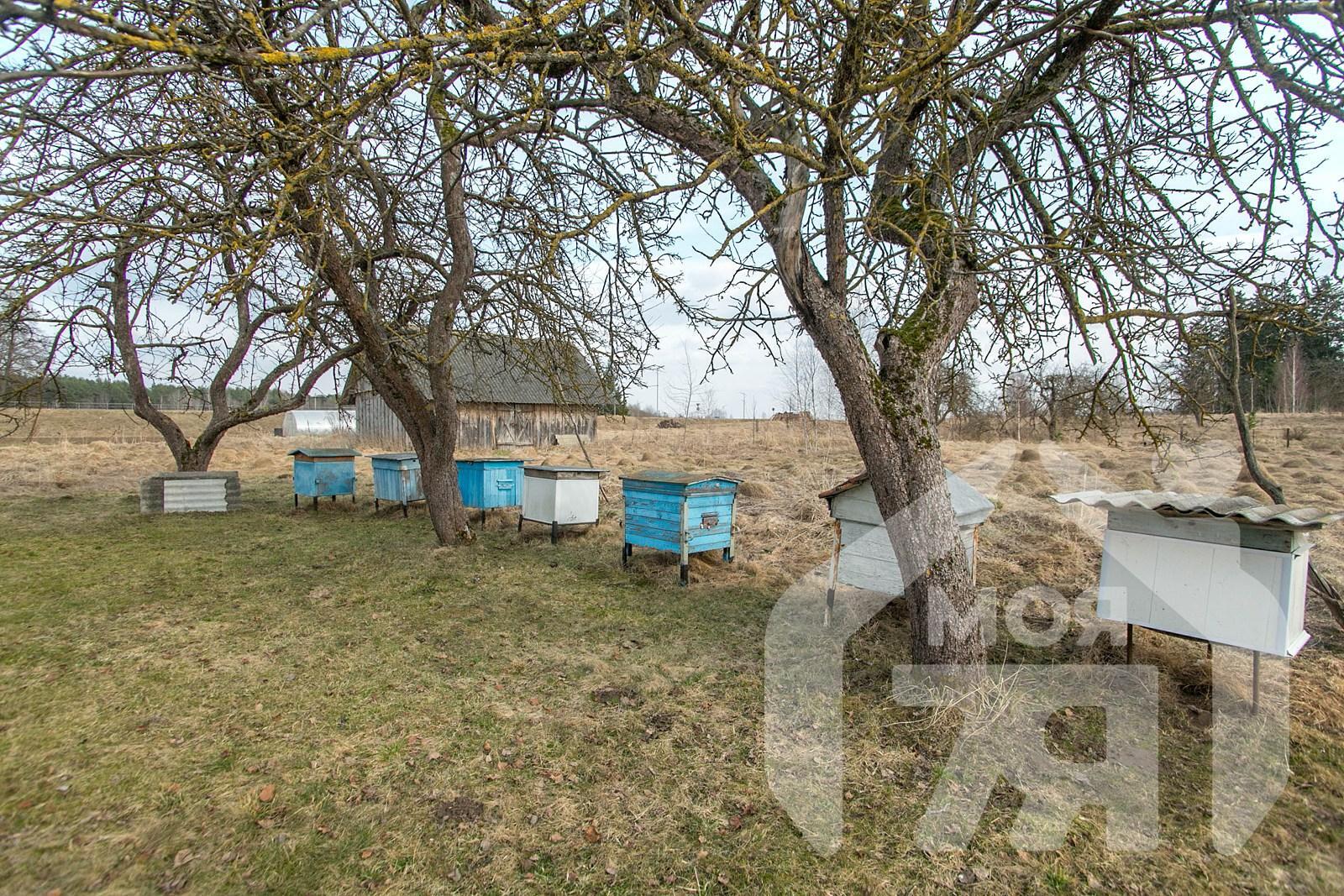 Maison 51 m² Visnieuski sielski Saviet, Bélarus