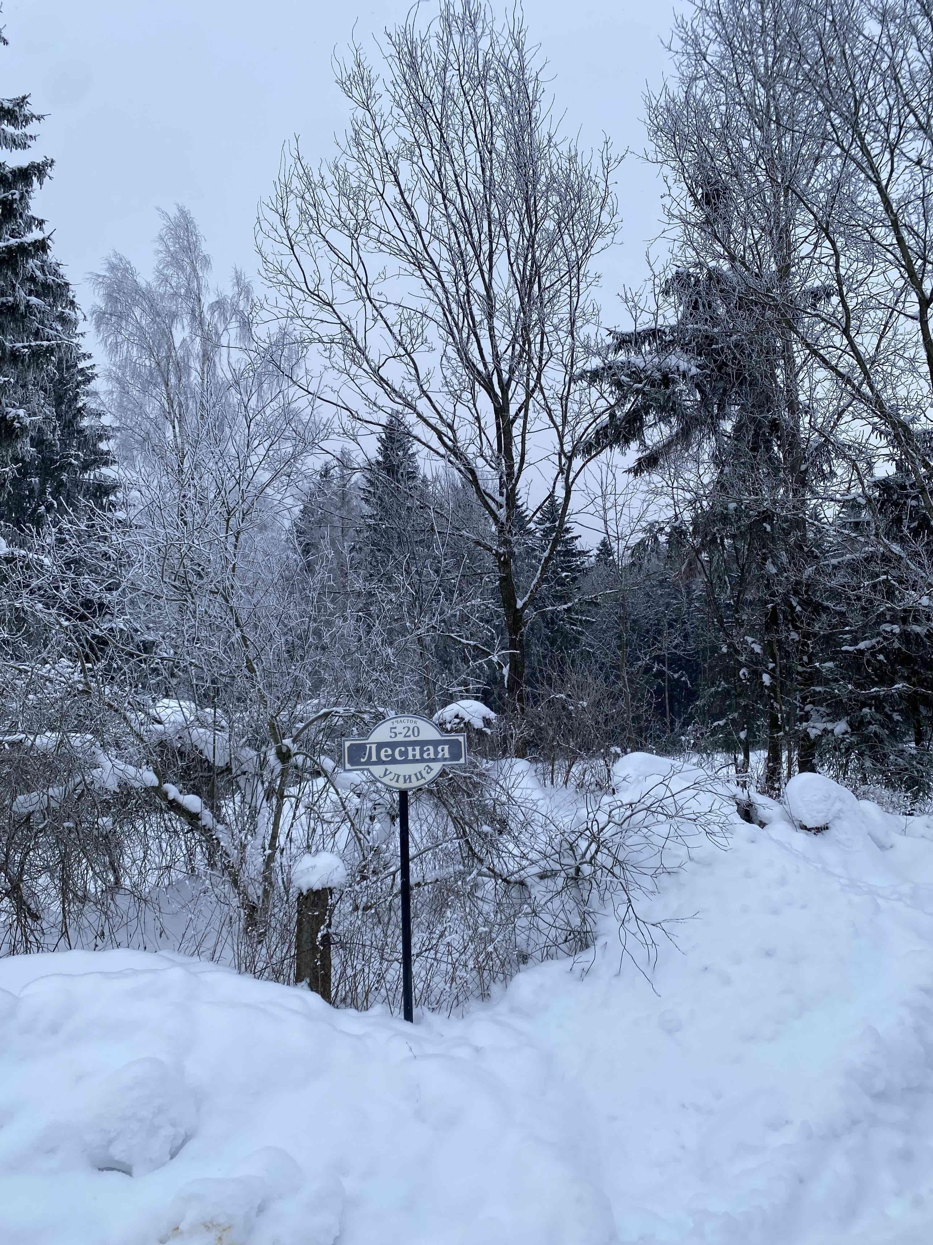 Haus 66 m² Lasanski sielski Saviet, Belarus