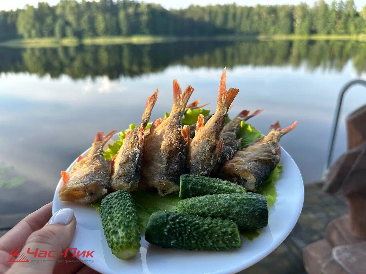 Коттедж 446 м² Куропольский сельский Совет, Беларусь