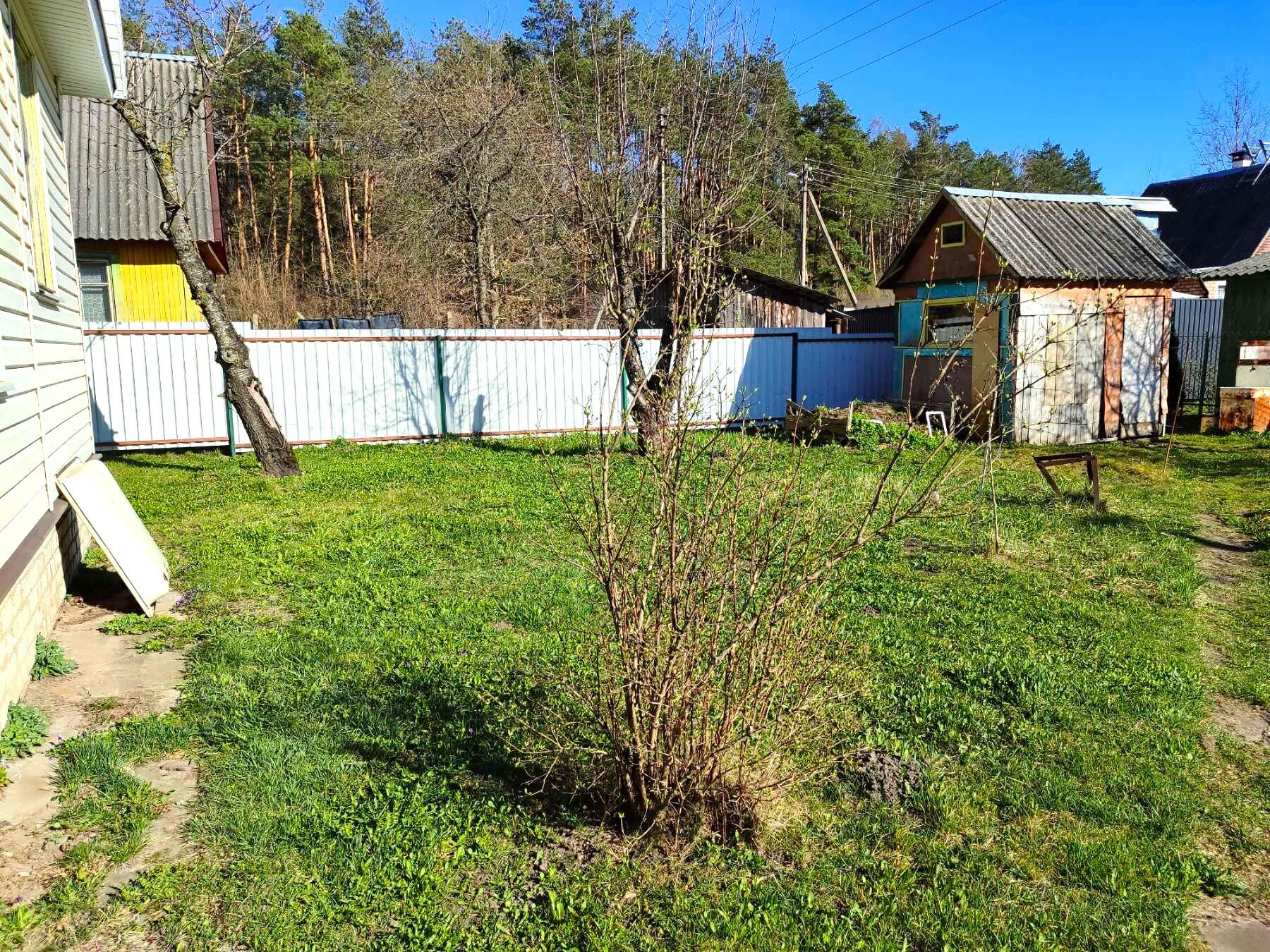 Maison 31 m² Rudzienski sielski Saviet, Bélarus