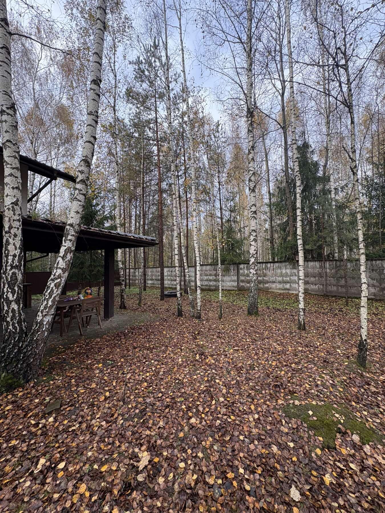 Коттедж 124 м² Колодищанский сельский Совет, Беларусь