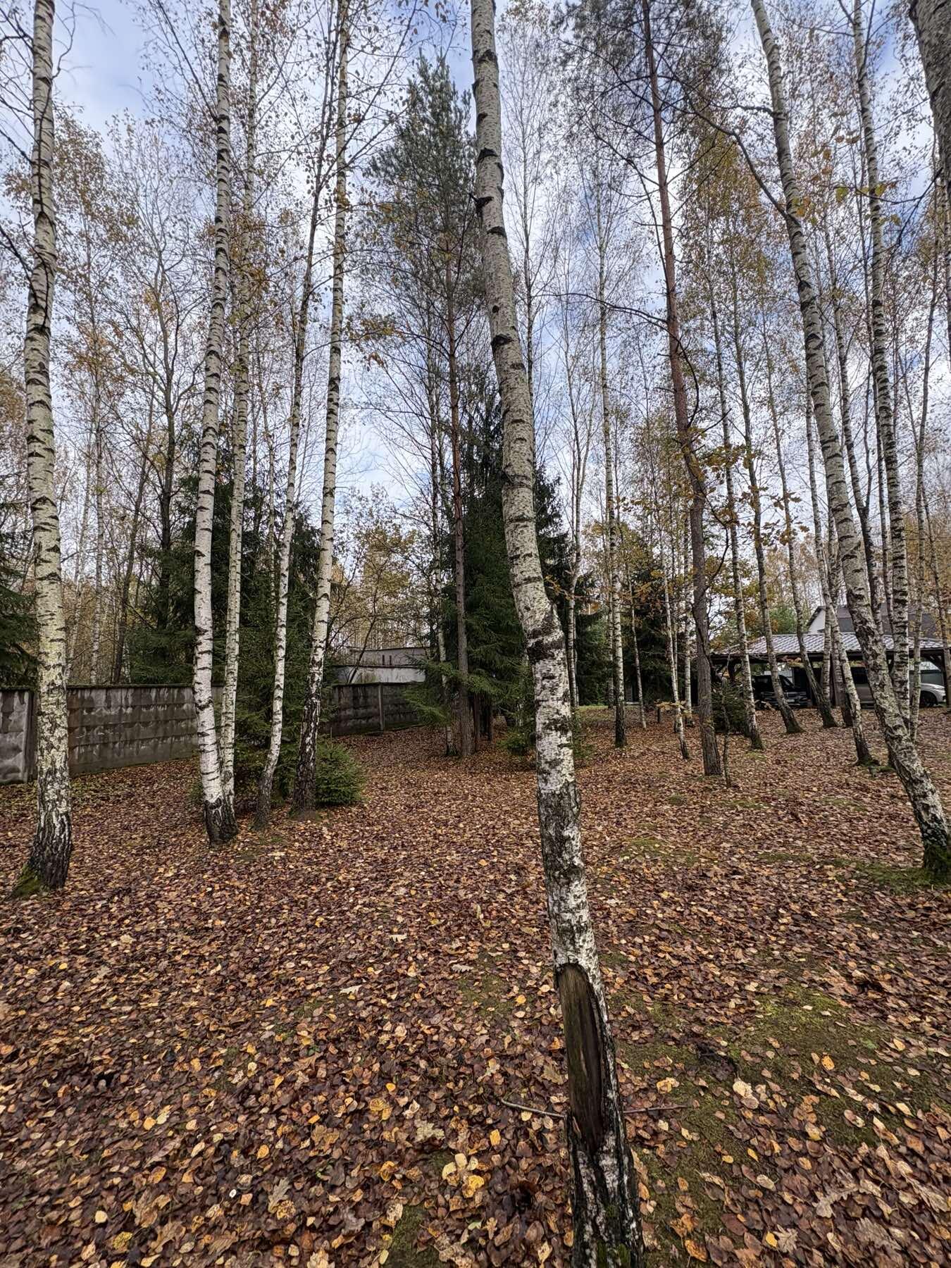 Коттедж 124 м² Колодищанский сельский Совет, Беларусь