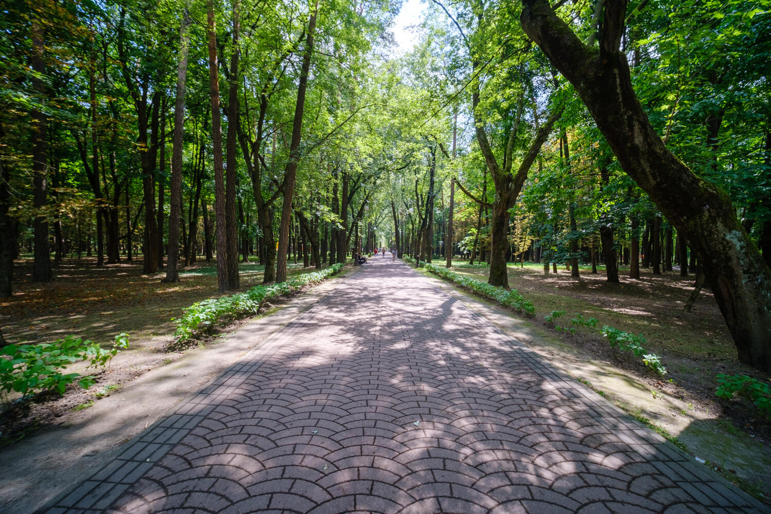 Квартира 2 комнаты 58 м² Минск, Беларусь