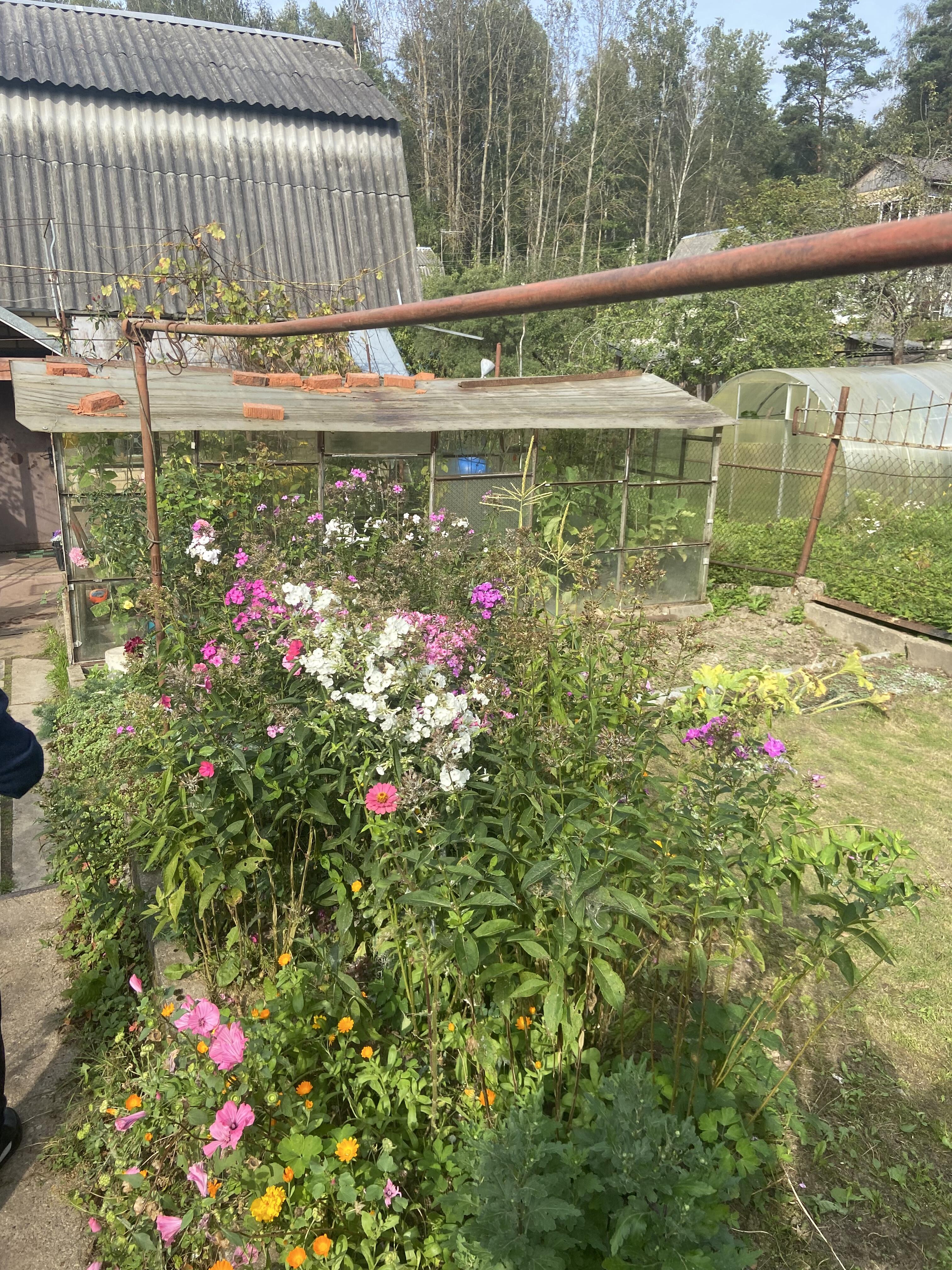 Maison 33 m² Radaskovicki sielski Saviet, Bélarus