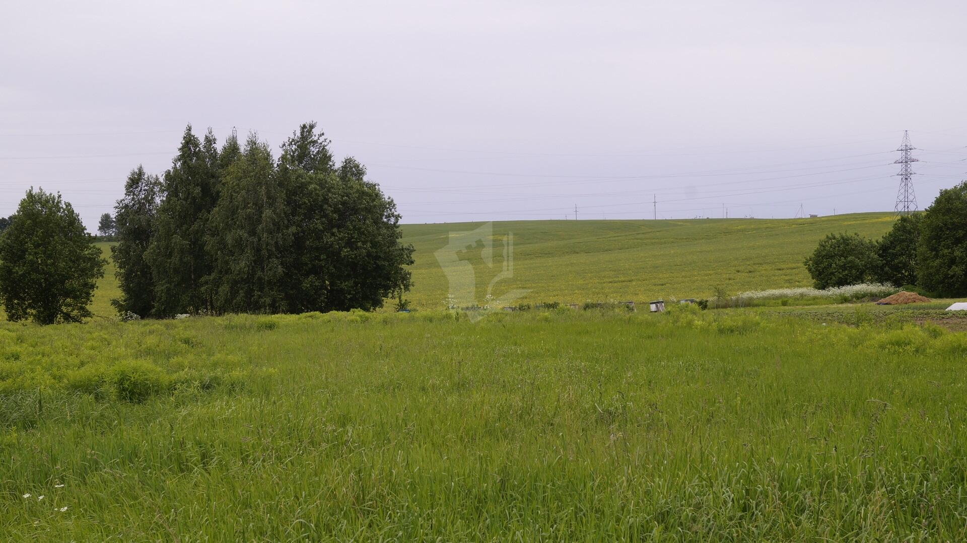 Дом  Озерицко-Слободской сельский Совет, Беларусь