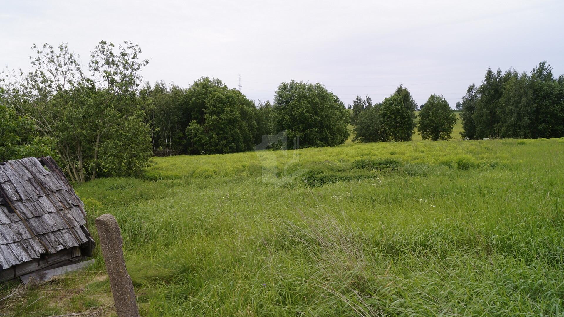 Дом  Озерицко-Слободской сельский Совет, Беларусь