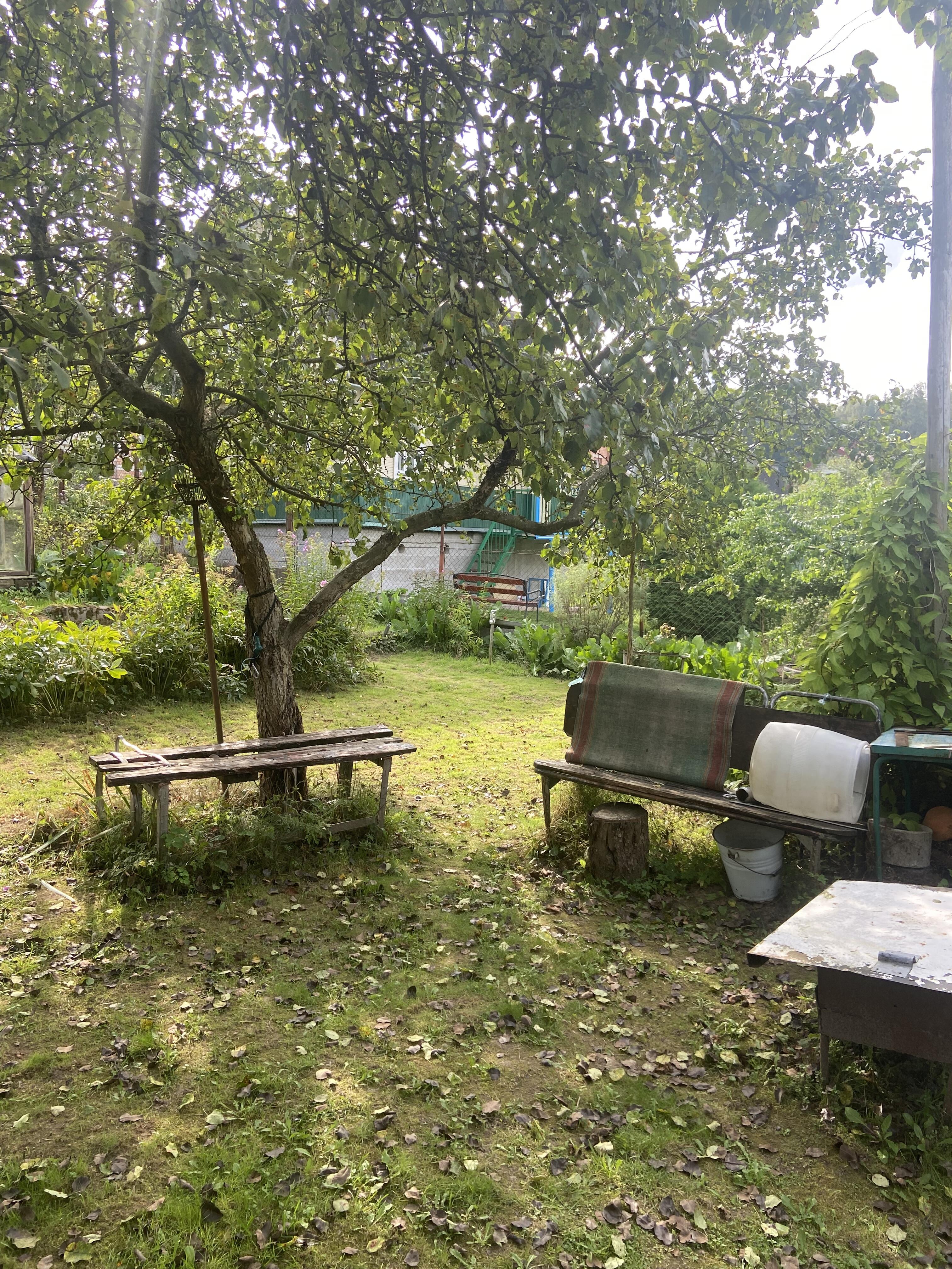 Maison 33 m² Radaskovicki sielski Saviet, Bélarus