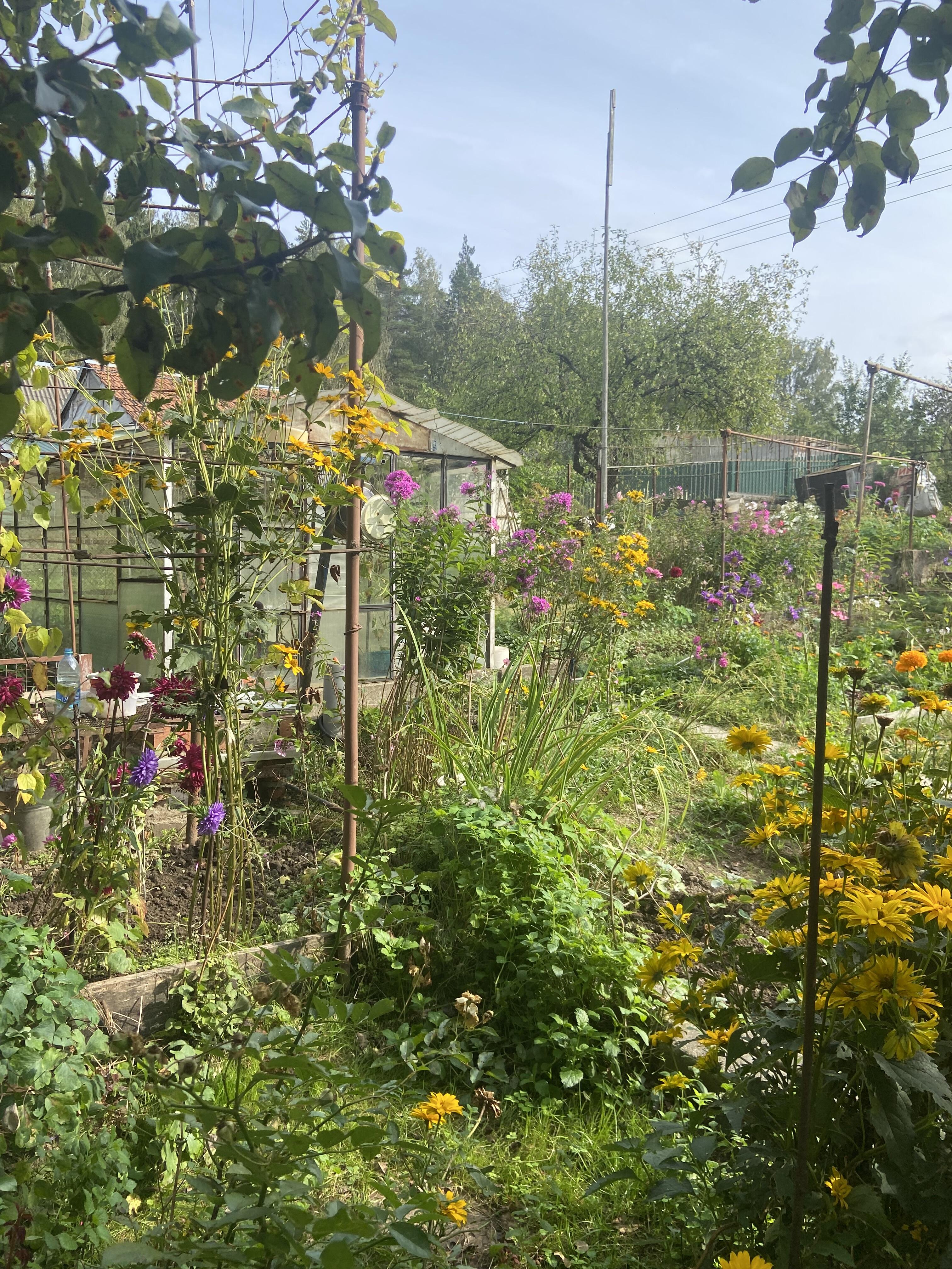 Maison 33 m² Radaskovicki sielski Saviet, Bélarus