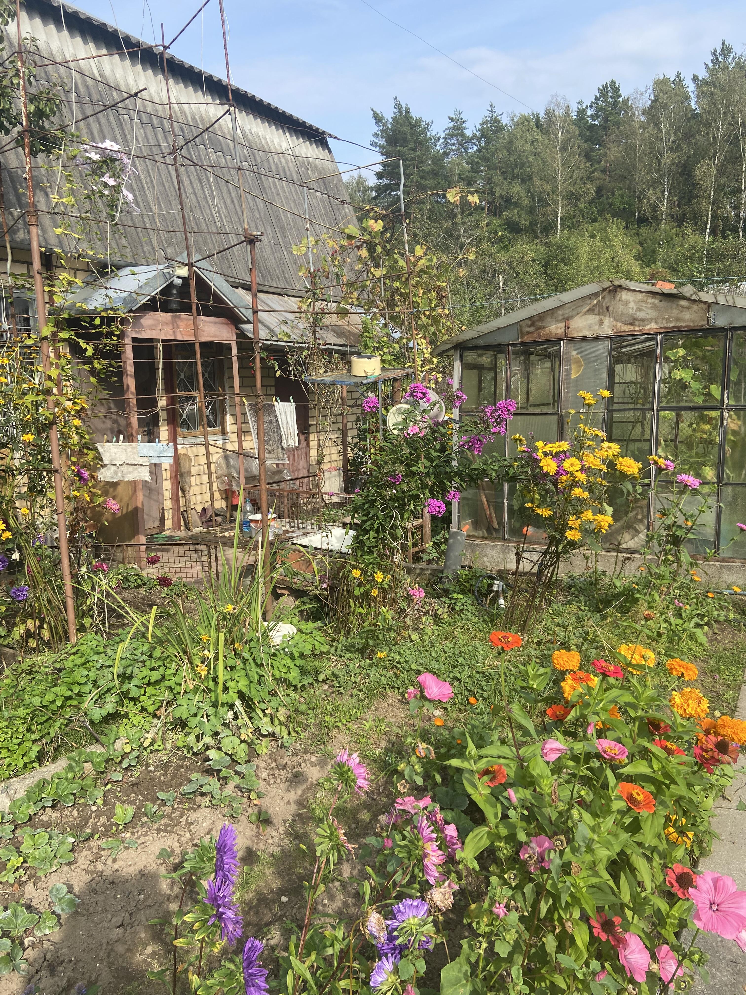 Maison 33 m² Radaskovicki sielski Saviet, Bélarus