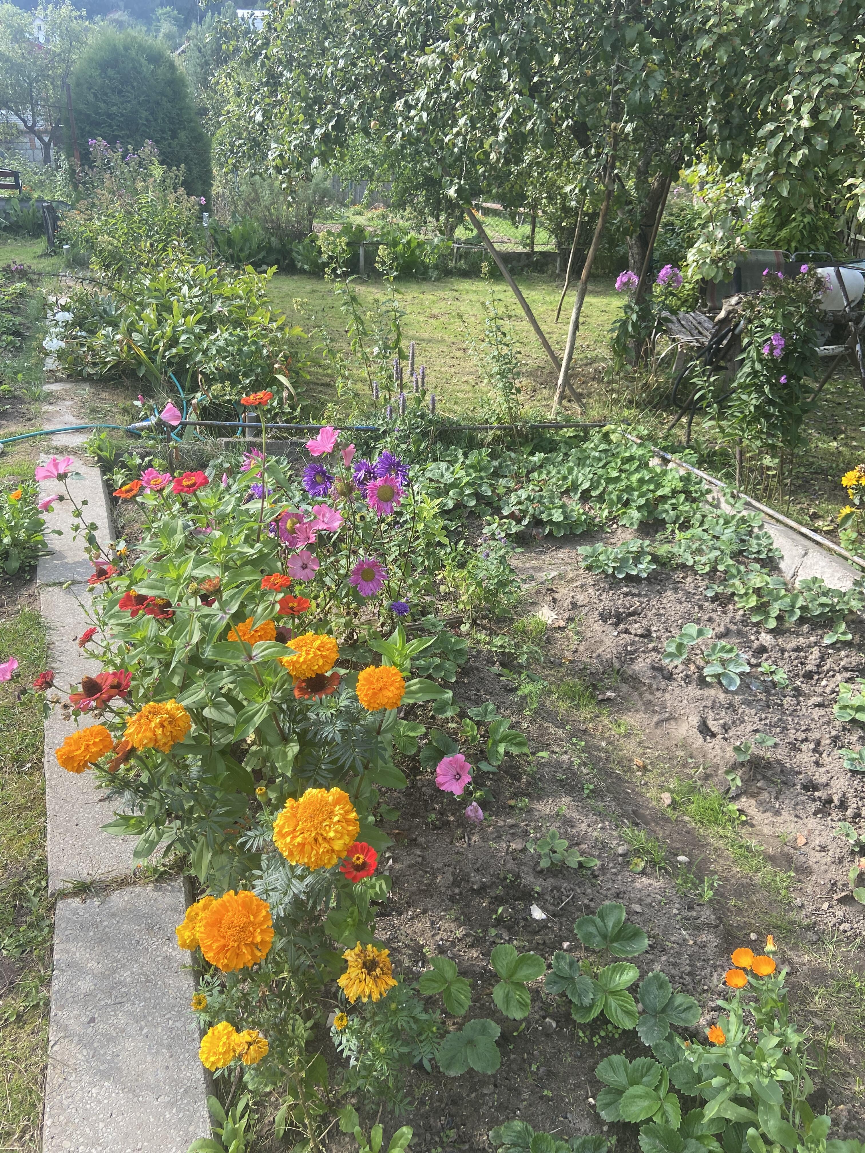 Maison 33 m² Radaskovicki sielski Saviet, Bélarus