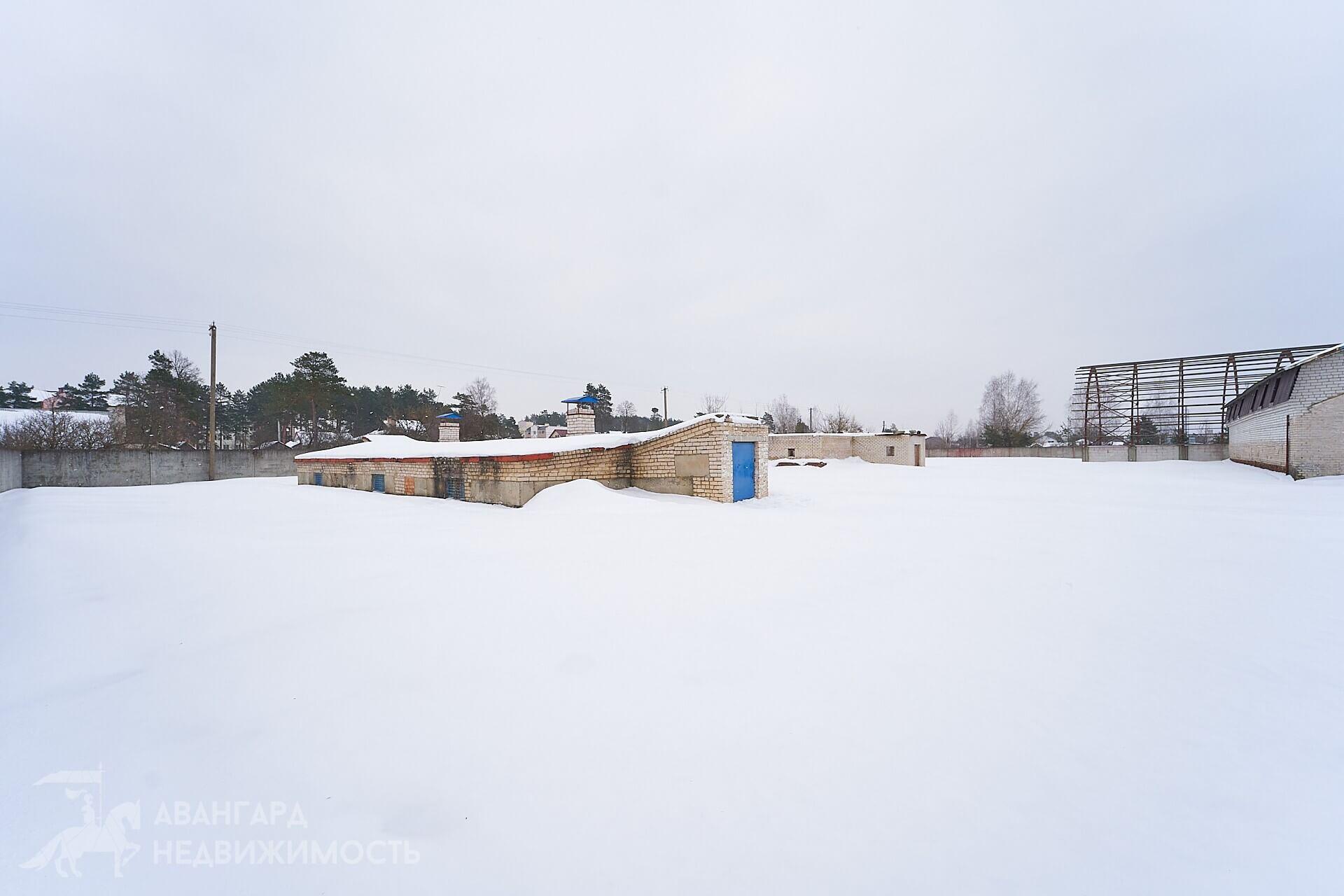 Manufacture 569 m² in Zialiony Bor, Belarus