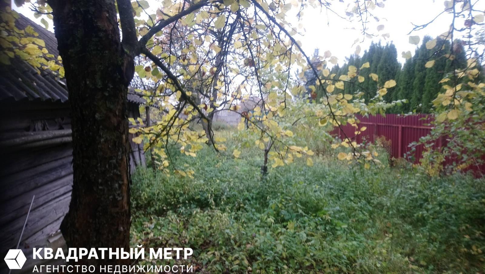 House  Drackauski sielski Saviet, Belarus