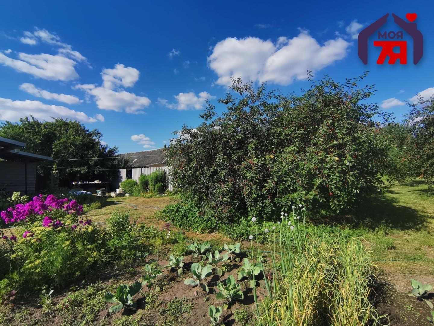 Mieszkanie 3 pokoi 65 m² Zamoscie, Białoruś