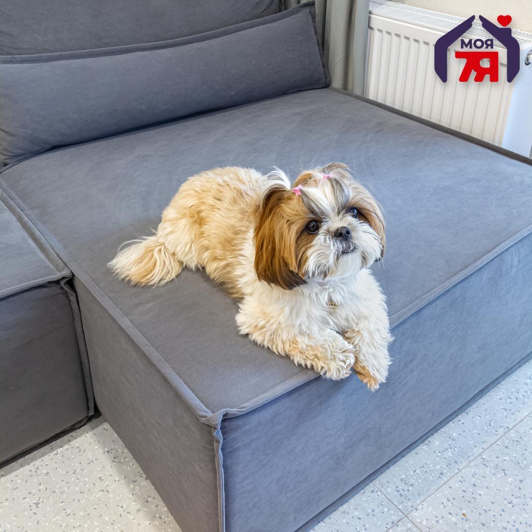 Appartement 2 chambres 52 m² Kopishche, Bélarus