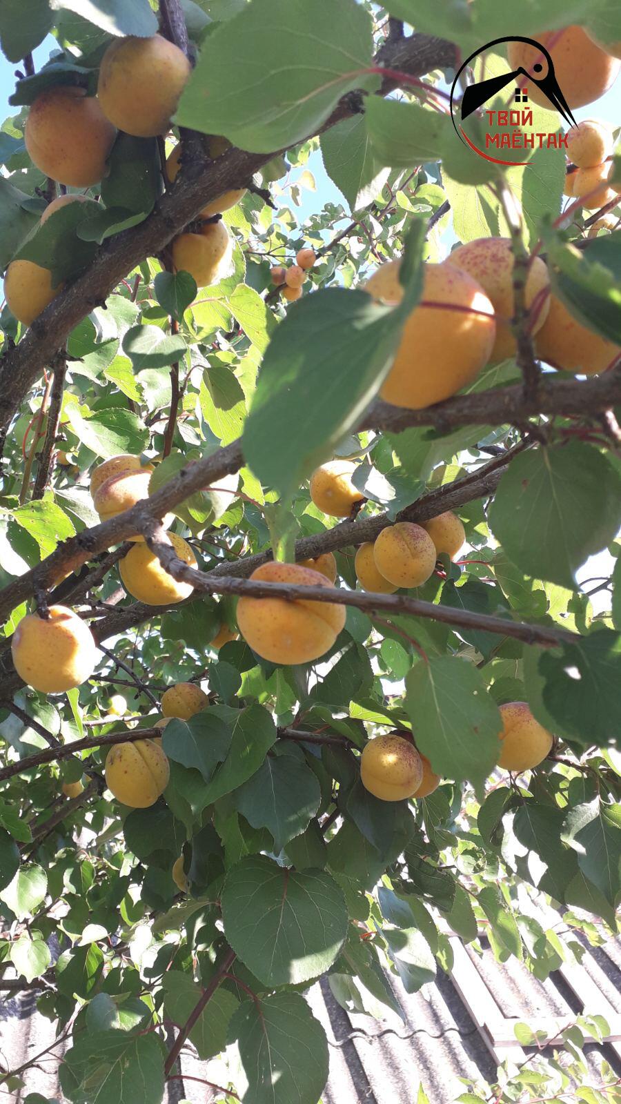 Haus 85 m² Aziaranski sielski Saviet, Belarus