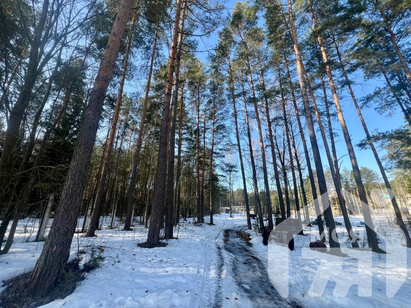 Commercial property 1 610 m² in Miasocki sielski Saviet, Belarus