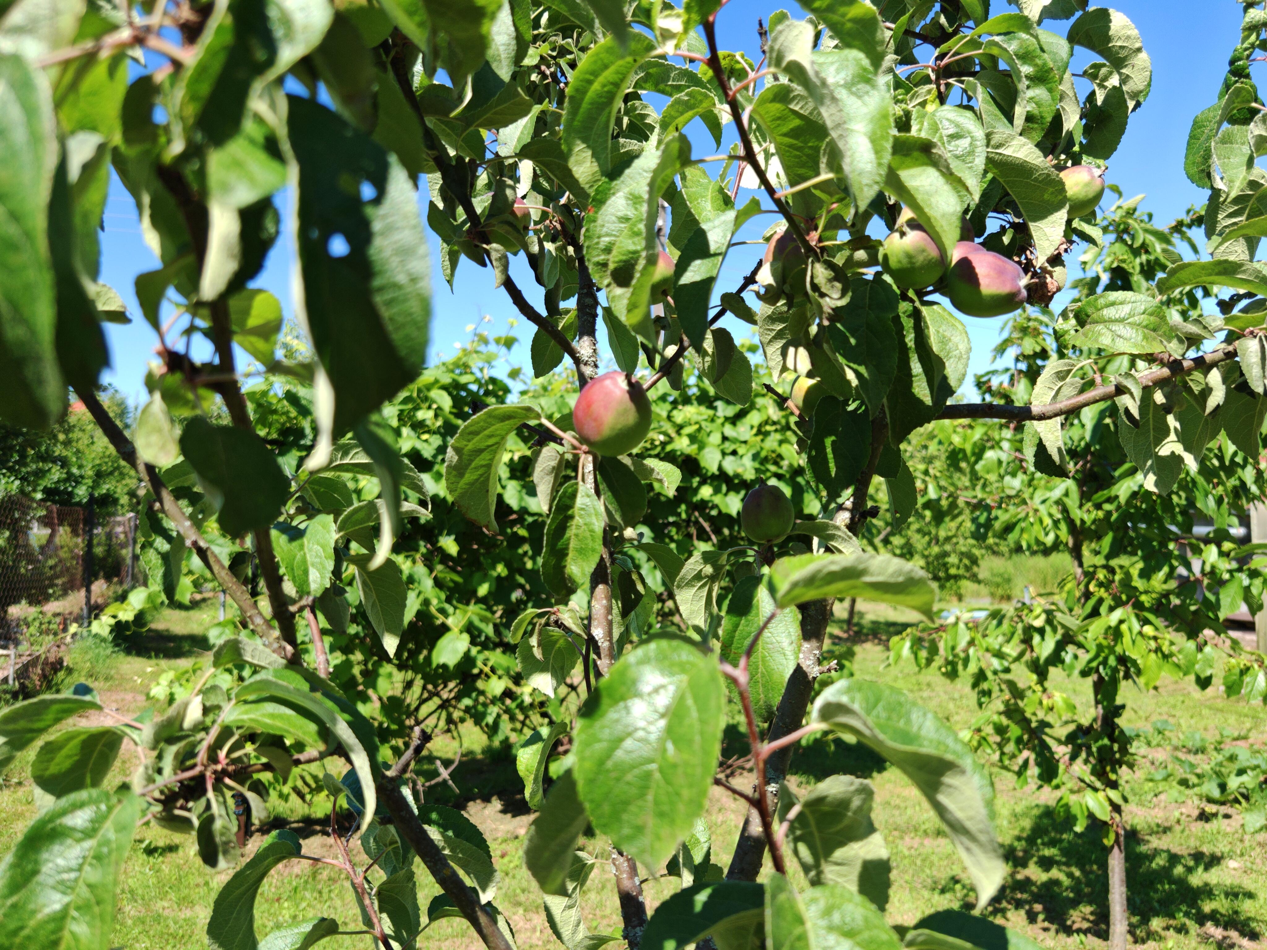 House 56 m² Bialarucki sielski Saviet, Belarus