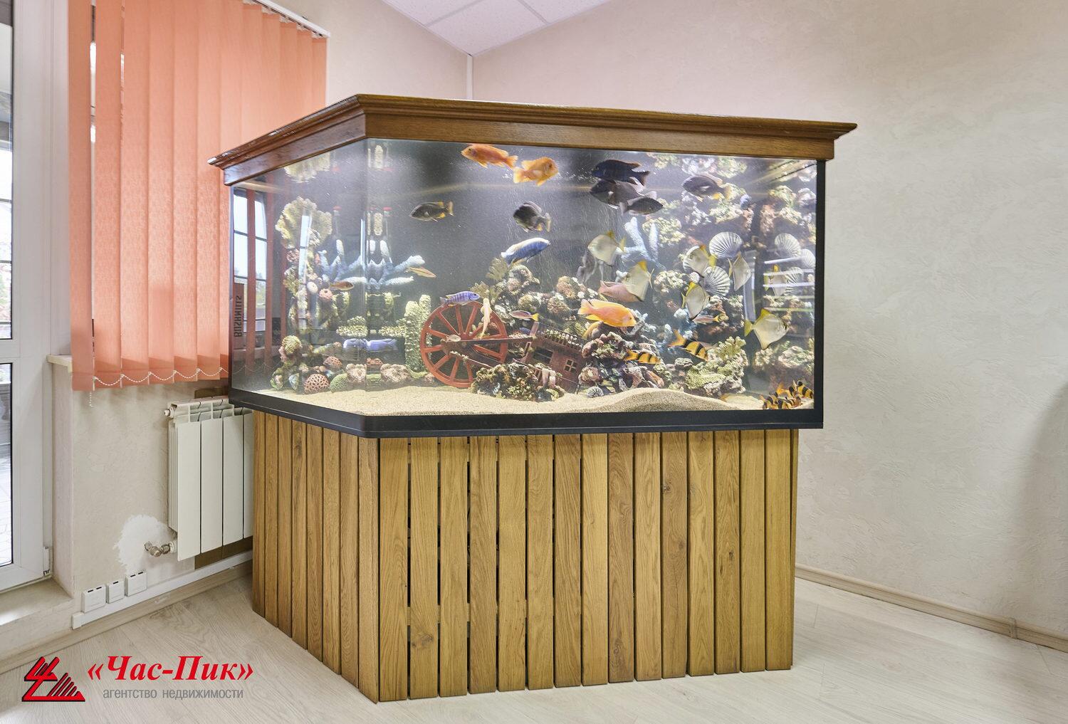 Shop 227 m² in Tarasava, Belarus