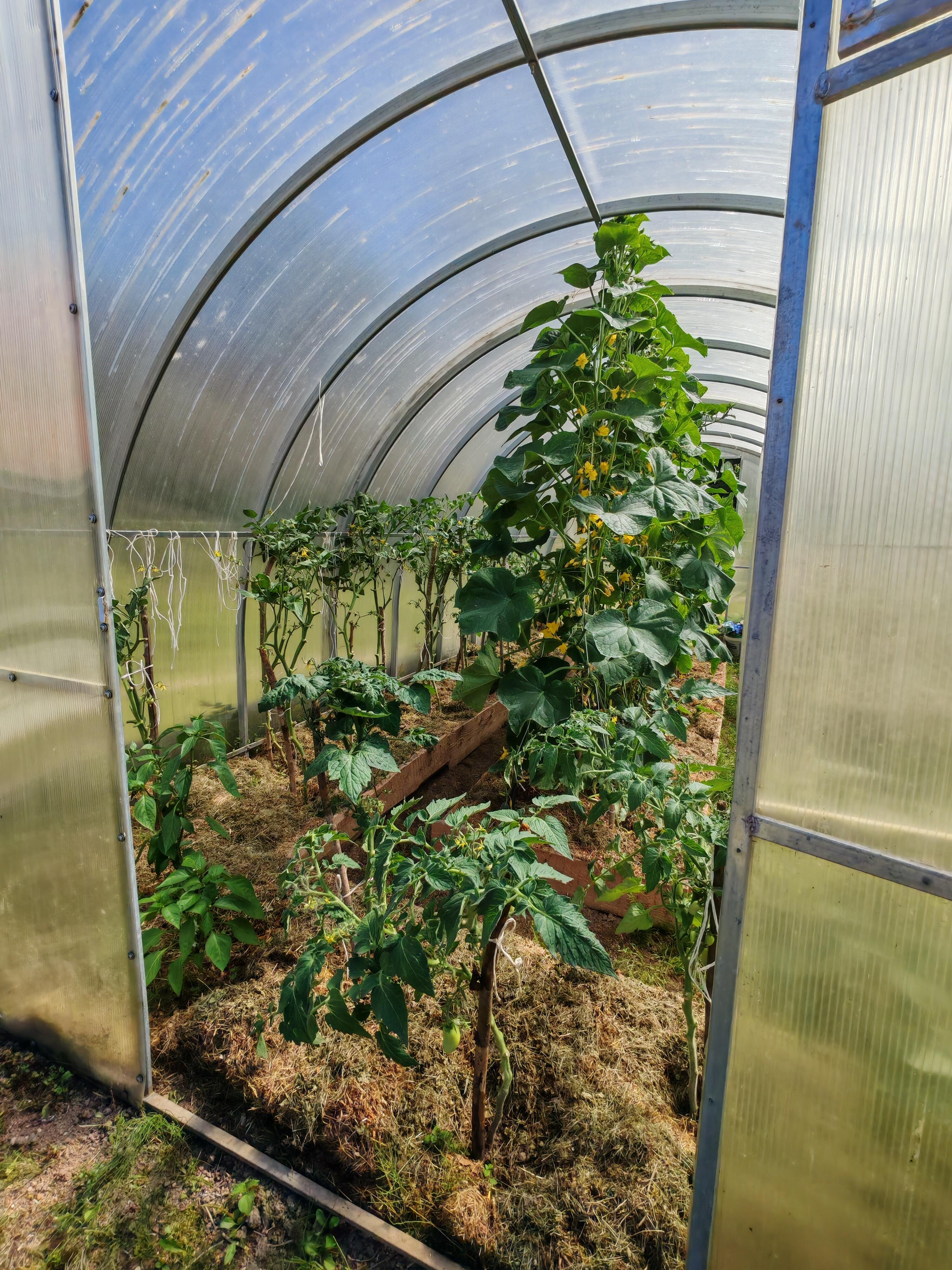 House 56 m² Bialarucki sielski Saviet, Belarus