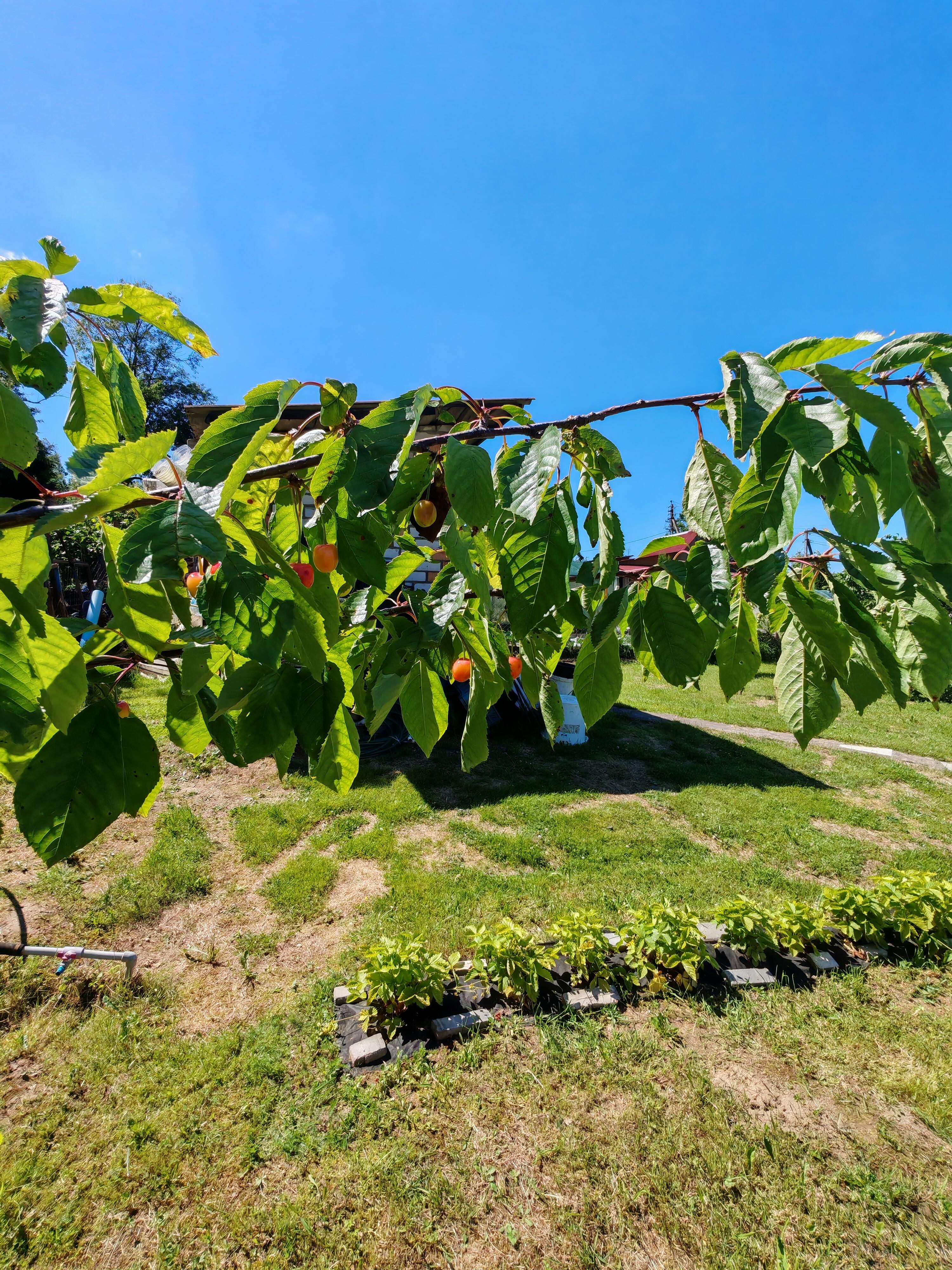 House 56 m² Bialarucki sielski Saviet, Belarus