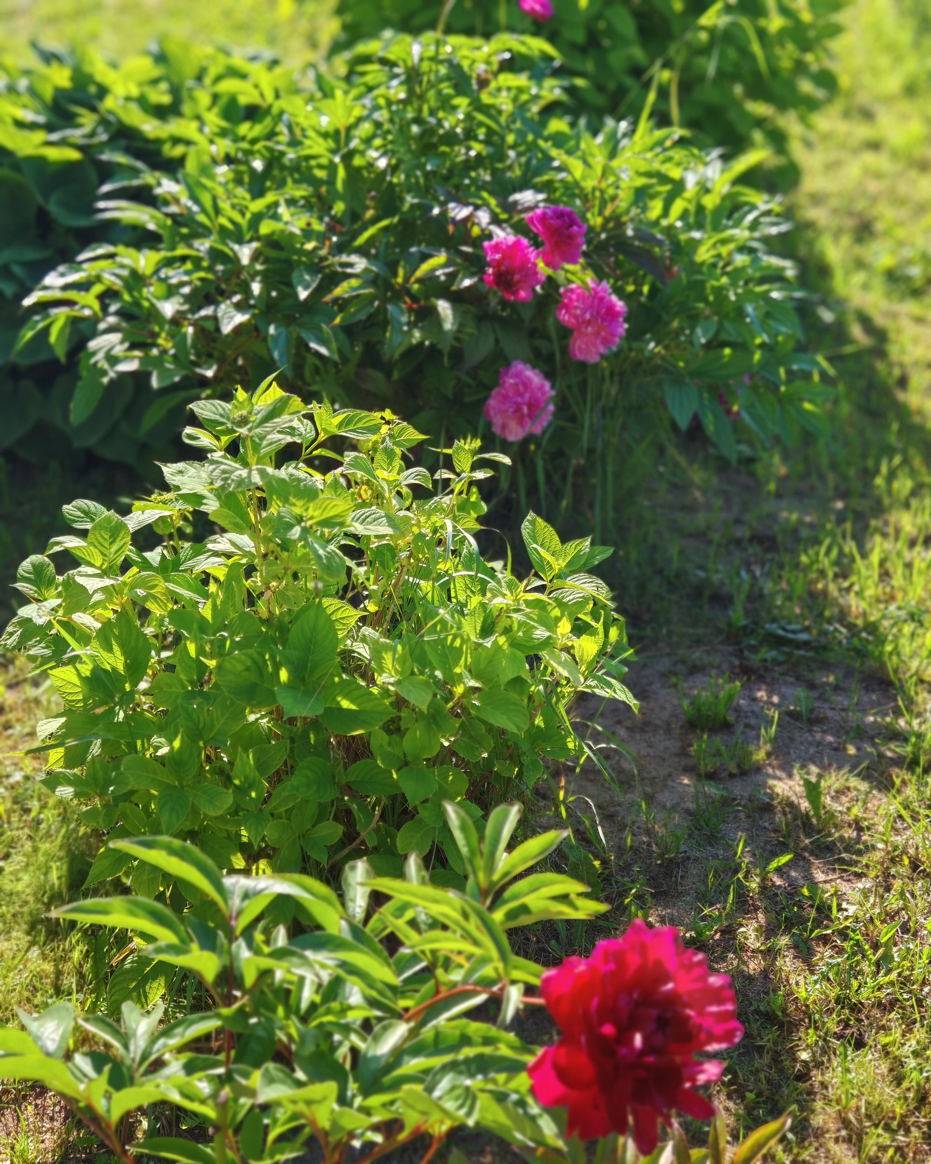 House 56 m² Bialarucki sielski Saviet, Belarus
