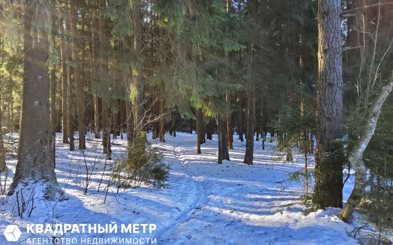 Haus  Astrashitskagaradokski rural council, Belarus