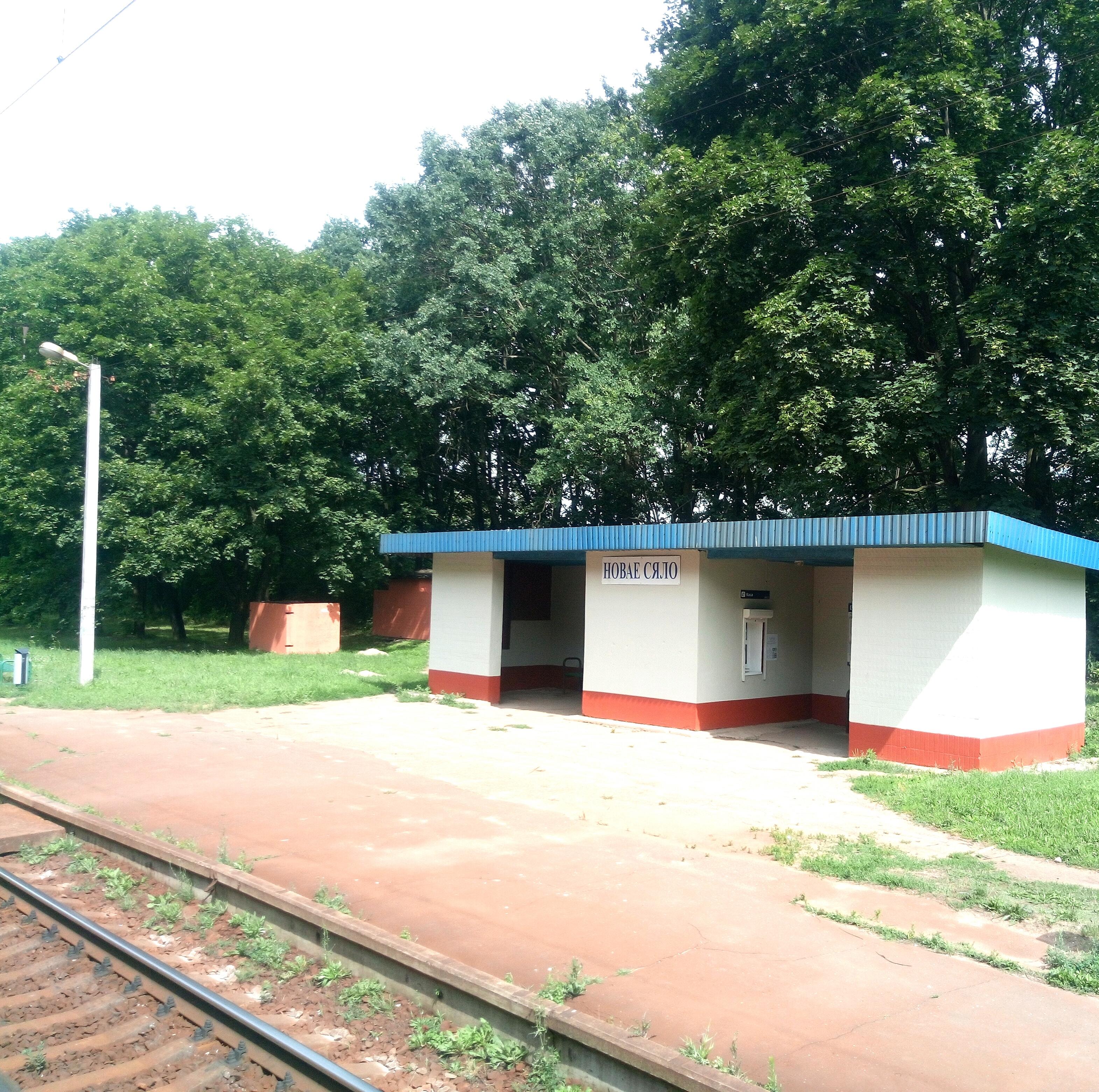 Casa 45 m² Dukorski sielski Saviet, Belarús