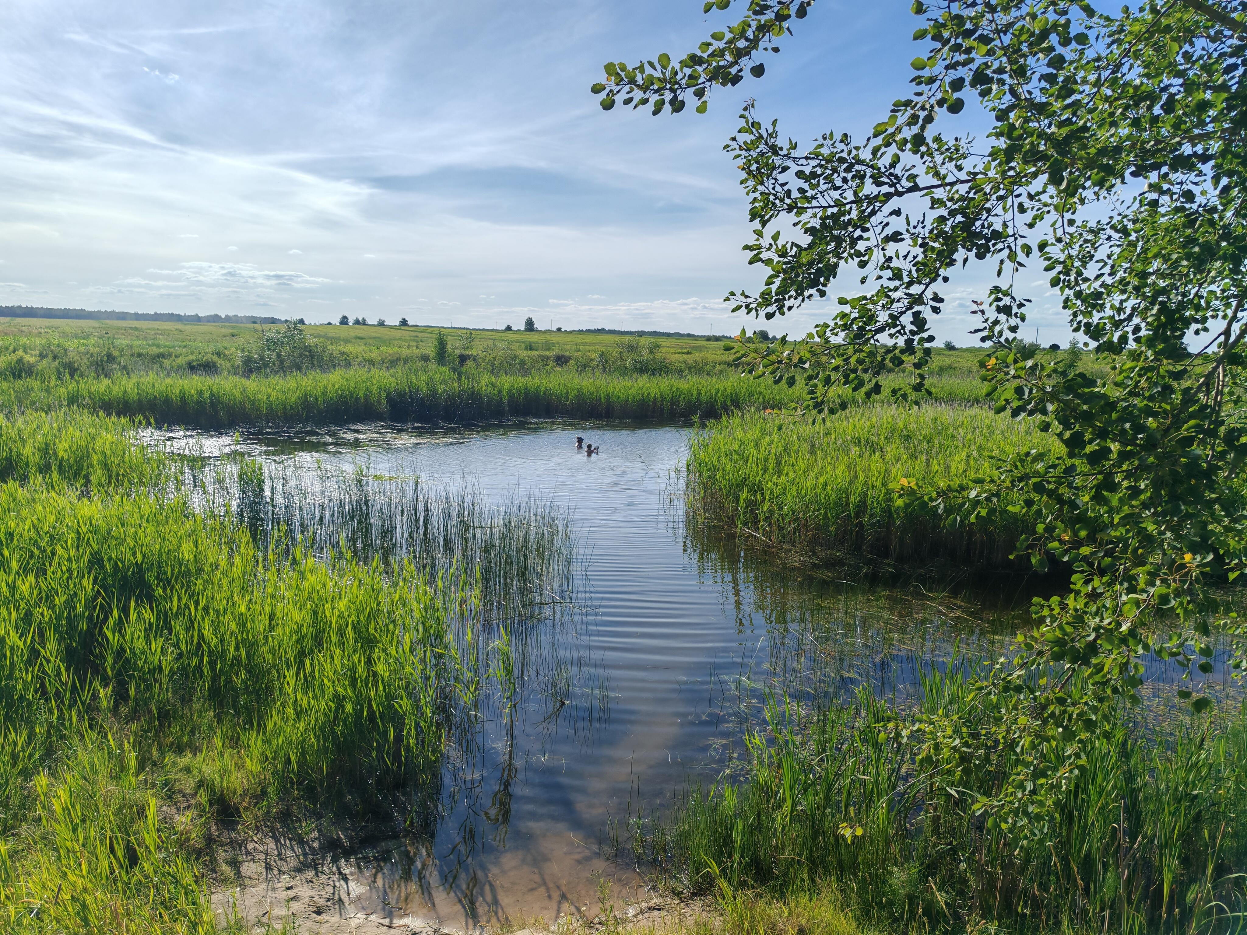 Casa 45 m² Dukorski sielski Saviet, Belarús