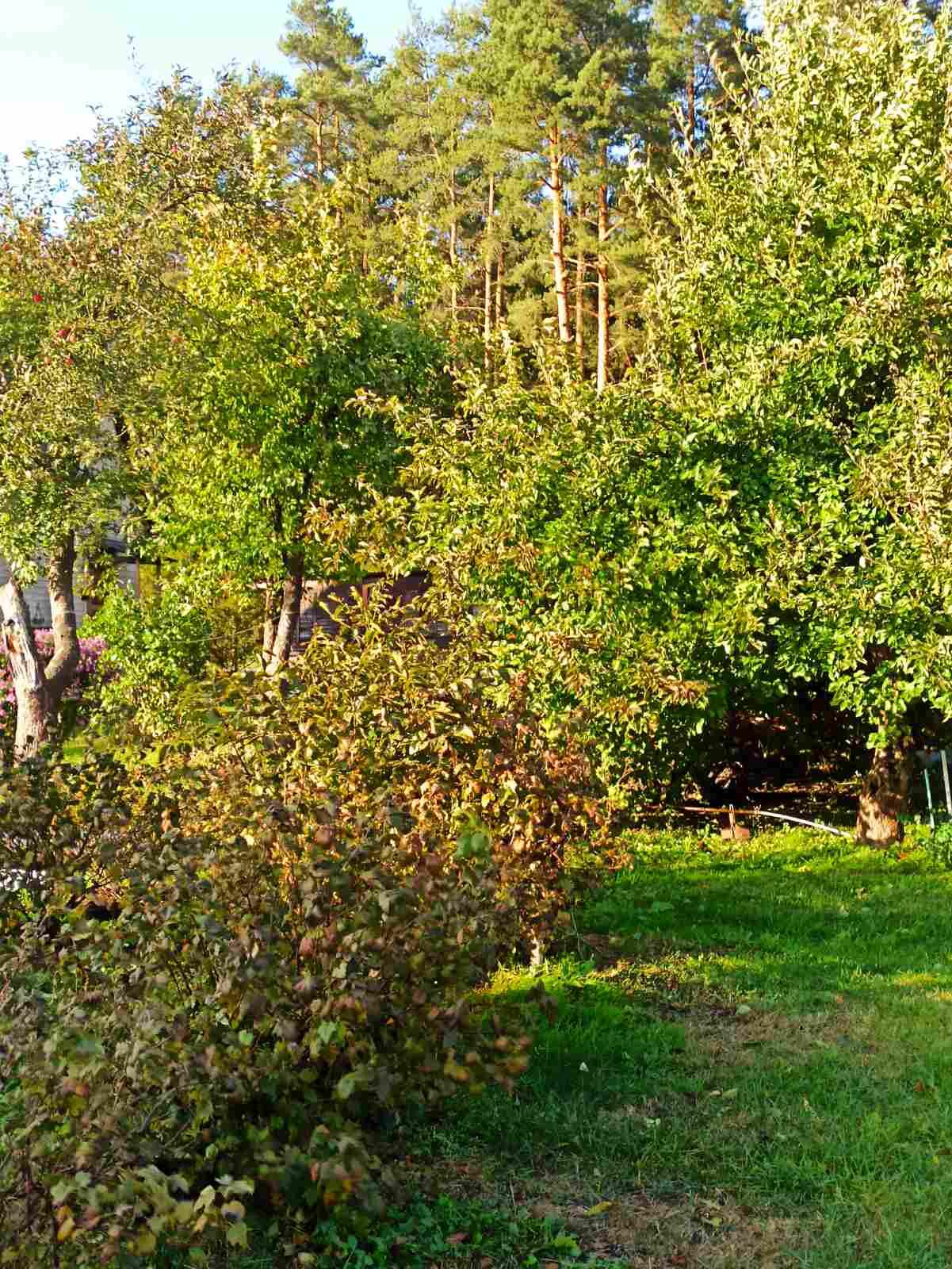 House 52 m² Piarezyrski sielski Saviet, Belarus