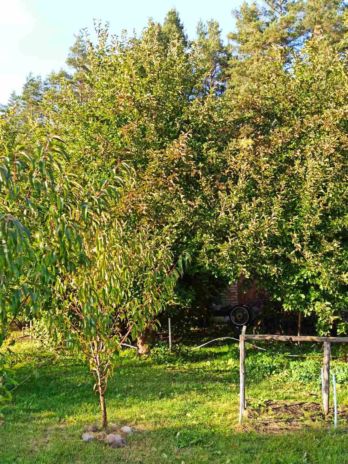 House 52 m² Piarezyrski sielski Saviet, Belarus