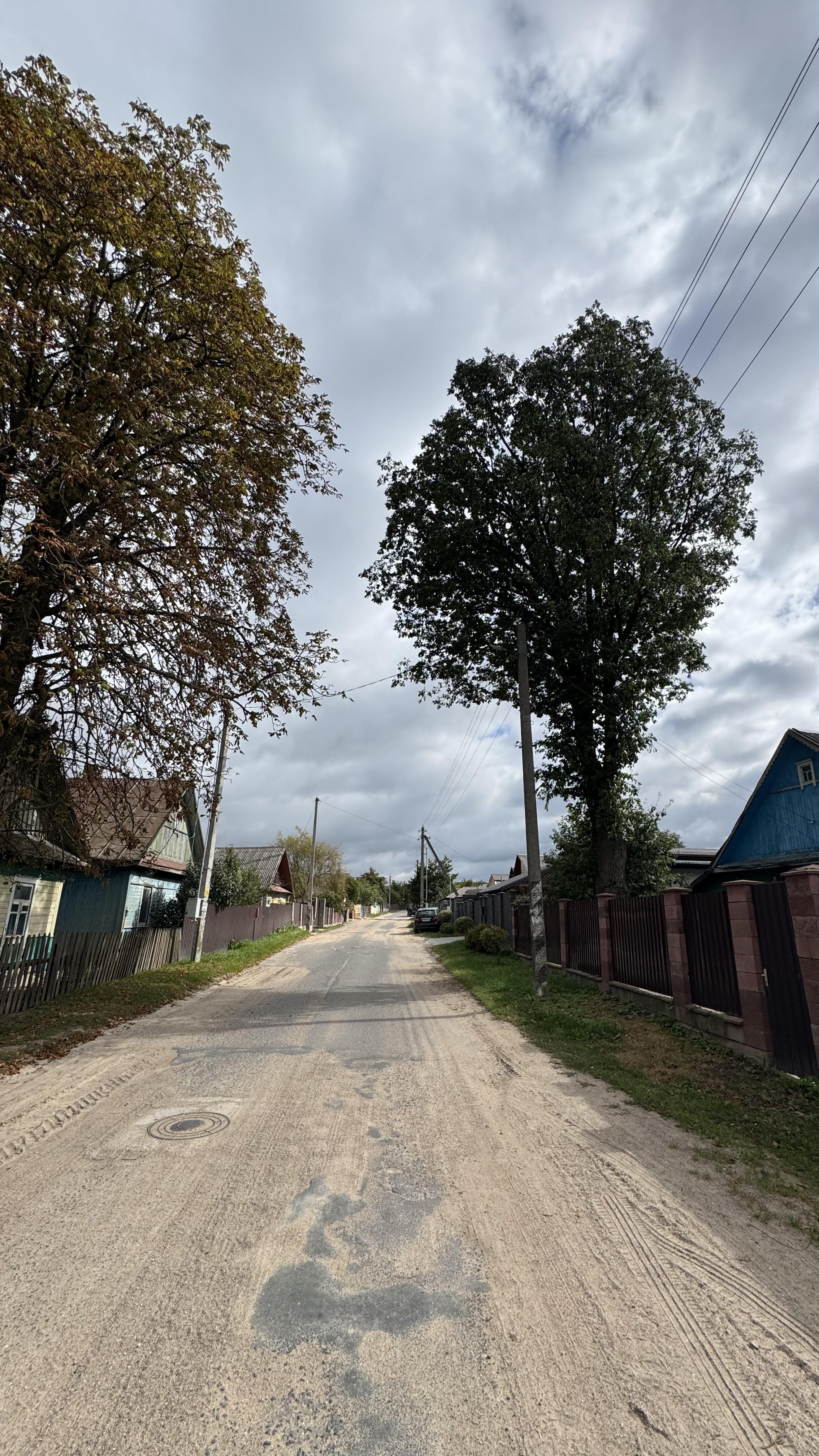  12.74сот., д. Миколаевичи (Партизанская ул.)