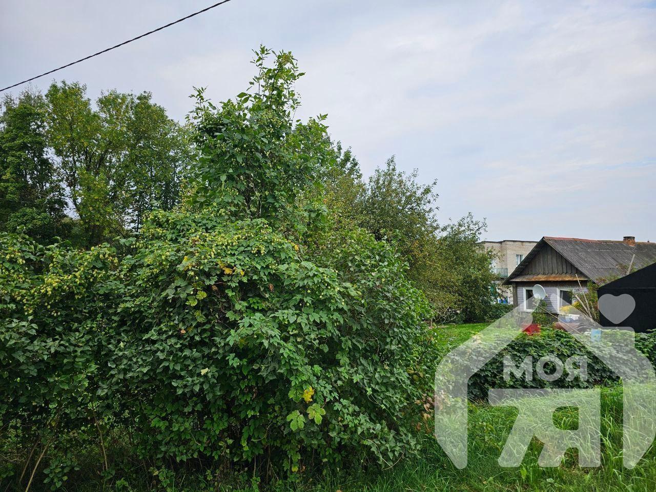 Haus 37 m² Wilejka, Belarus
