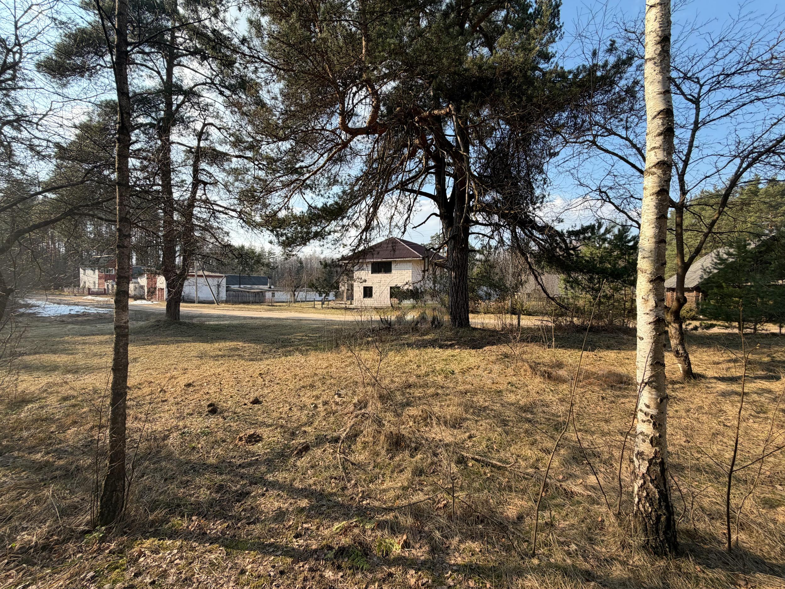 СРОЧНАЯ ПРОДАЖА , участок 19.9 сот. в сосновом лесу